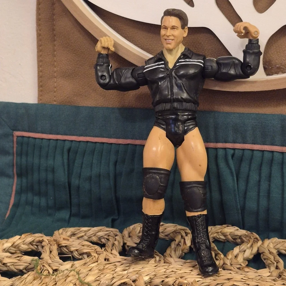 ✅WWE JBL John Bradshaw Layfield Action Figure Jakks Pacific Wrestling#️⃣48